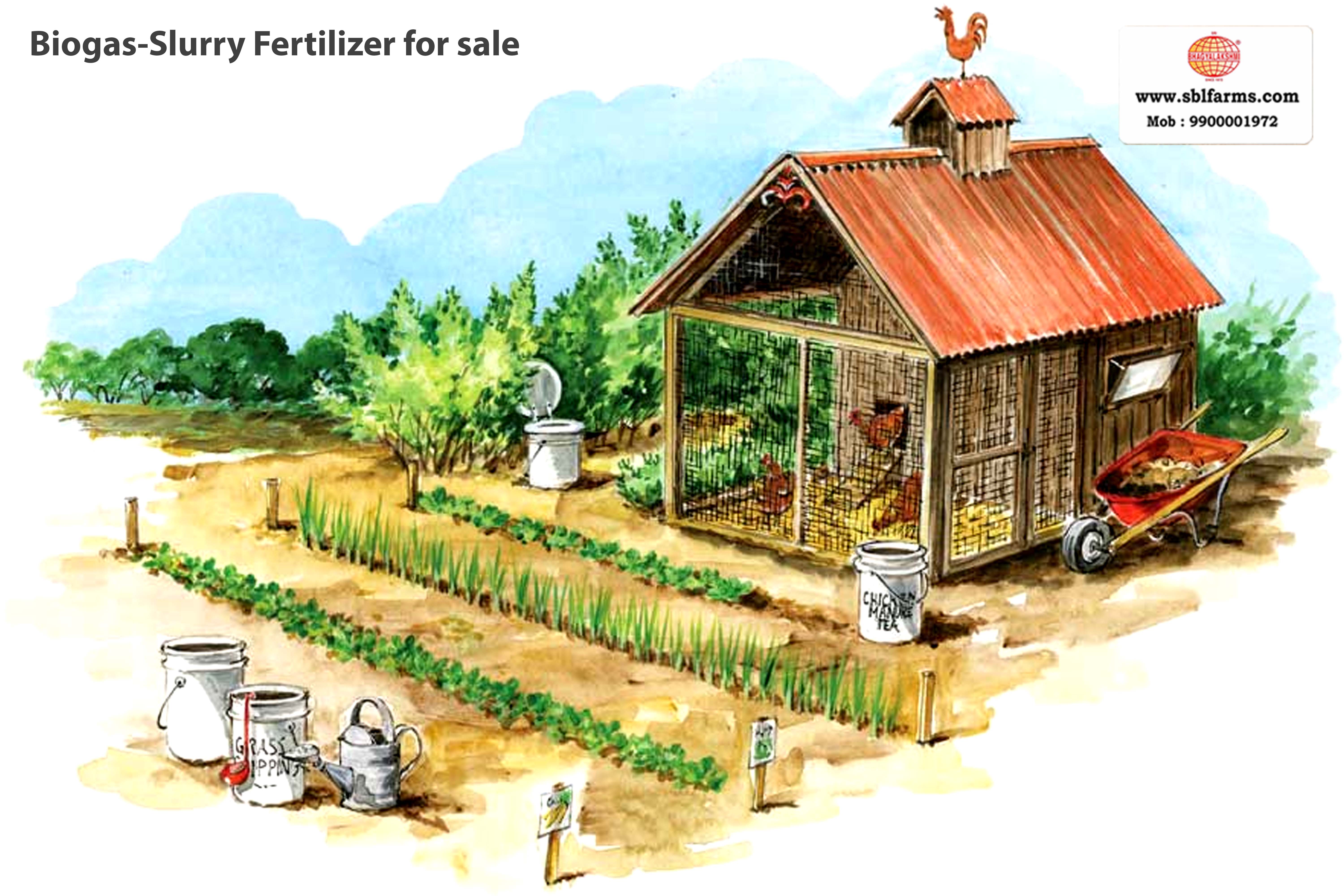 Sri Bhagyalakshmi Farms Bangalore - biogas-slurry fertilizer | Slurry Fertilizer for Sale  |  Fertilizer for vegetable better growth | bioslurry manufacturers, suppliers & exporters in Bangalore|Bio slurry for sale in bangalore |  Sri Bhagyalakshmi Farms fertilizer slurry Bangalore | Bioslurry a supreme fertiliser | slurry fertilizer near me bangalore | slurry fertilizer near me bangalore contact number | manure fertilizer for sale in bangalore | Organic Manure for sale | biogas slurry uses | biogas slurry composition | organic fertilizer price per kg | biogas slurry meaning | organic fertilizer price in india | organic fertilizer price per ton | Sri Bhagyalakshmi Farms, Cow Dung Manure Organic Fertilizer Suppliers in Bangalore